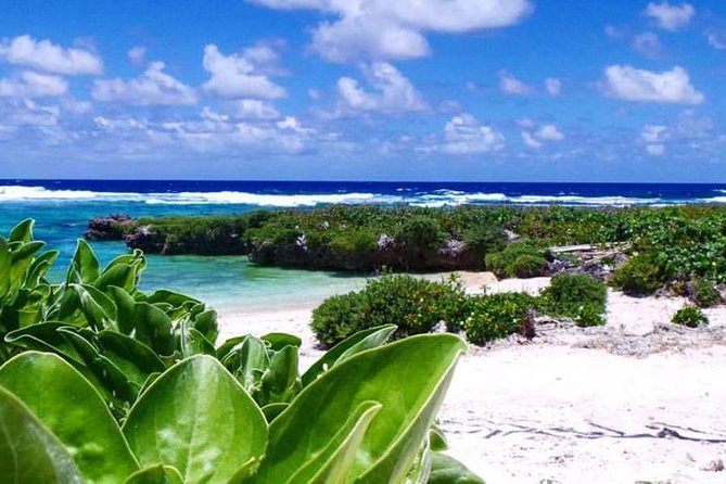 Full-Day Efate Round Island Trip with Yumi Tours - Ending with kava at The Kava House