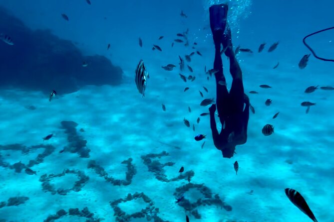 Full Day Lagoon experience with motu lunch - Key points to know before booking