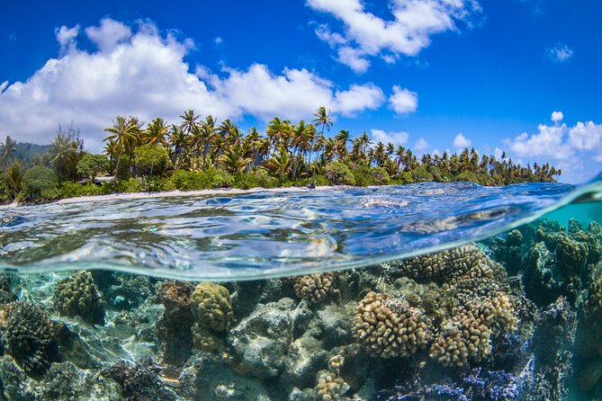 Full Day Lagoon Group Tour in Bora Bora with Lunch - The Motu Lunch Is More Than a Meal Break