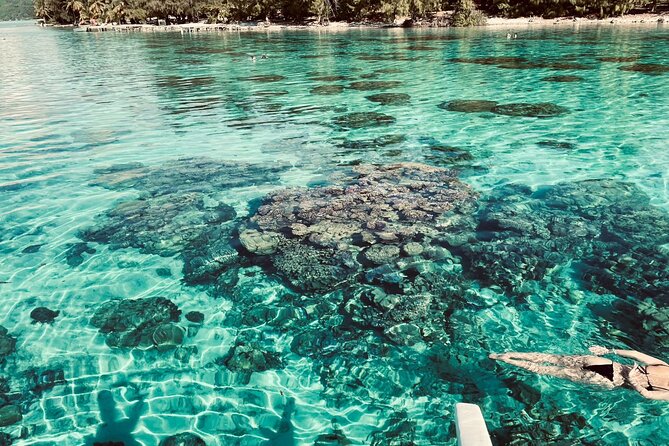 Full-day Lagoon Safari Tour with Lunch in Bora Bora - Shared tour - Swimming with blacktip sharks and stingrays