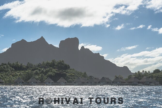 Full-day Lagoon Safari Tour with Lunch in Bora Bora - Shared tour - A coral garden full of smaller life
