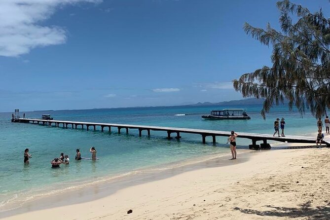 Full Day Nouméa Signal Island Turtle Tour - The real meaning of self-guided snorkeling