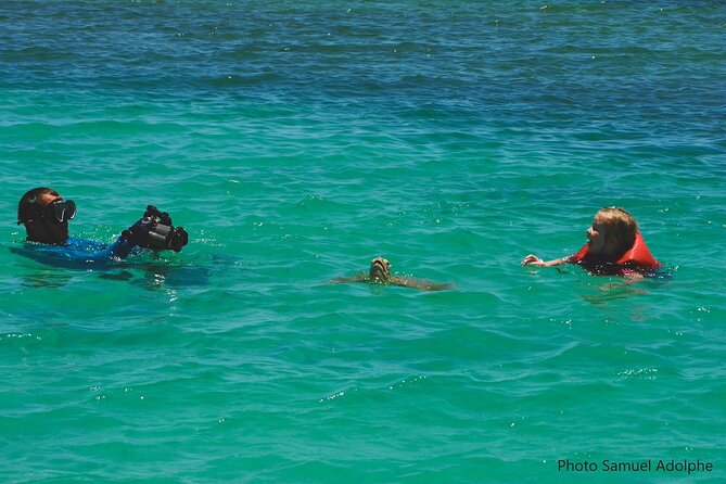 Full Day Nouméa Signal Island Turtle Tour - Snorkel gear is not included