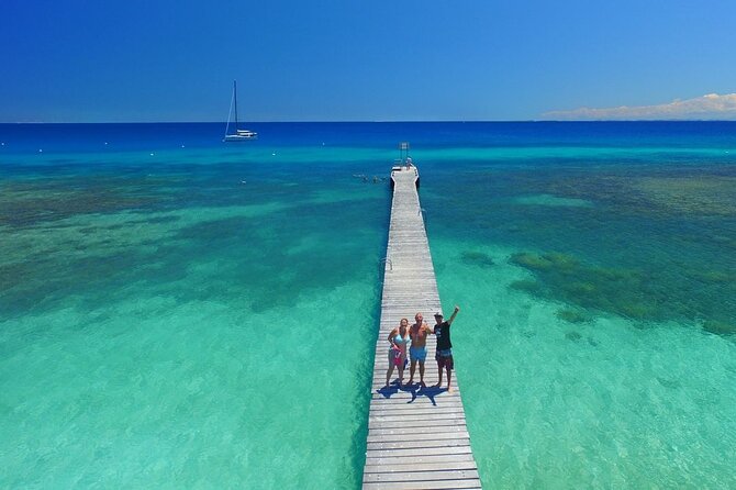 Full Day Nouméa Signal Island Turtle Tour - How the price compares with the experience