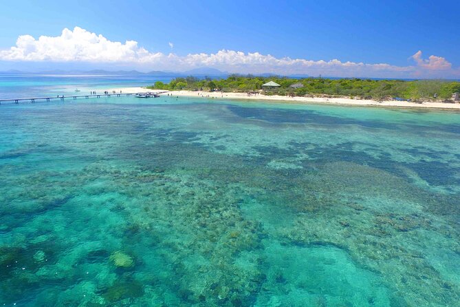 Full Day Nouméa Signal Island Turtle Tour - Group size and the feel of the day
