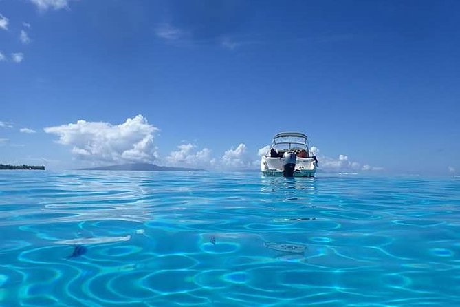 Full-Day Private Boat Tour of Bora Bora Lagoon with Snorkel - Sun, comfort, and what to bring