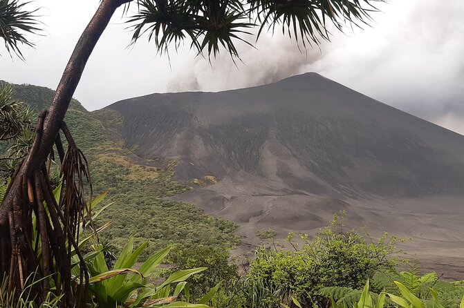 Full-Day Private Tour to Yakel Village, Waterfall and Mt Yasur Volcano - The long approach to Mount Yasur