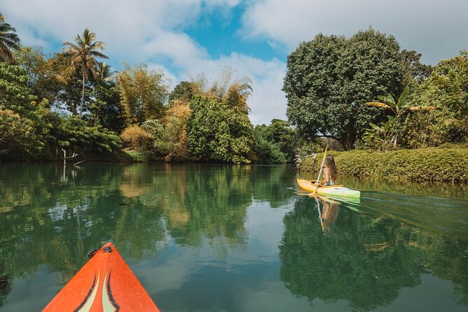 Full Day River Kayaking & Cascades from Port Vila - Rainforest and village life at water level