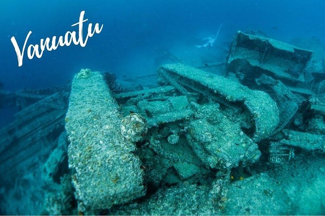 Full Day Santo Blue Hole, Champagne Beach, Million Dollar Point & Port Olry Tour - What to bring and who will enjoy it