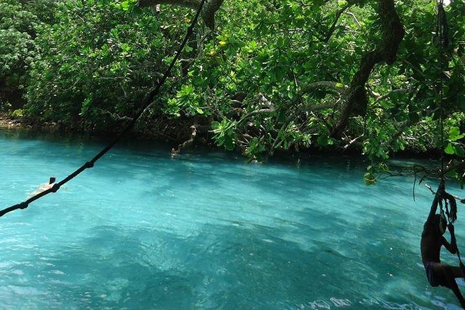 Full-Day Scenic Tour around the Island Tour from Port Vila - Key things to know before booking