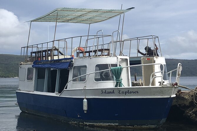 Full Day Snorkelling Cruise in Tranquility Island Resort - The price and who gets good value