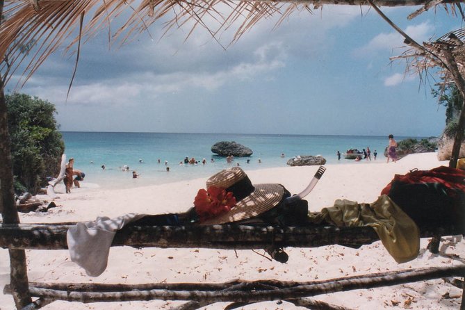 Full Day Snorkelling Cruise in Tranquility Island Resort - Practical details that can save you trouble