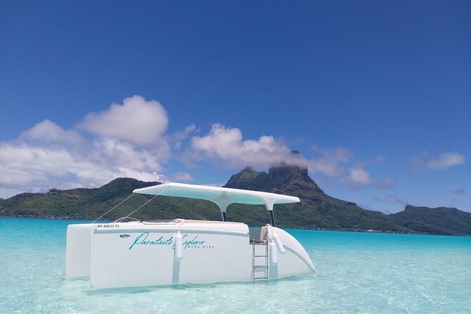 Full Day Solar Boat–Explores Bora Bora at the Rhythm of the Lagoon - Coral Garden: a closer look at lagoon life