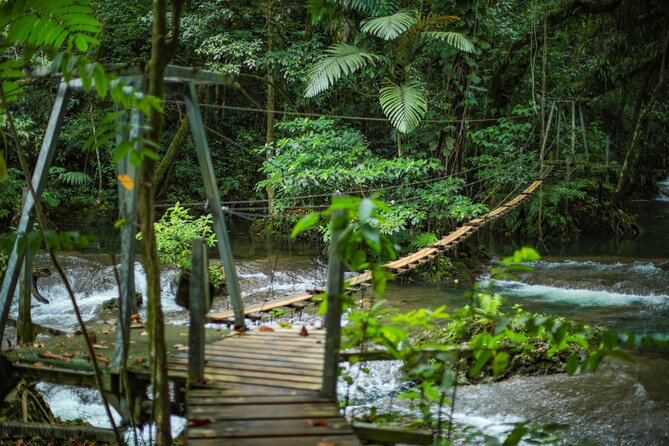Full Day Tour Cascades Adventure, Turtles and Blue Lagoon - A six-hour outing built around water