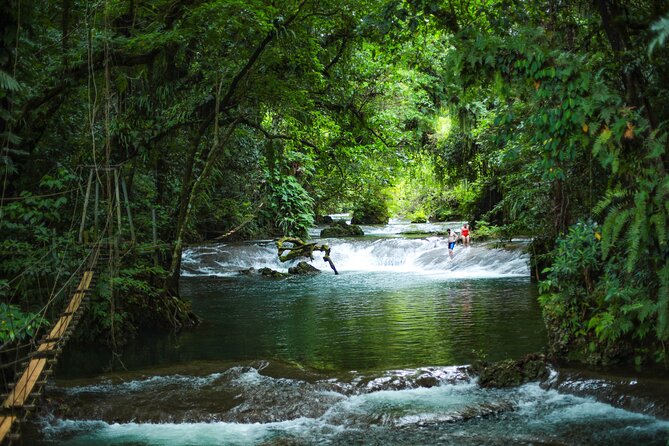 Full Day Tour Cascades Adventure, Turtles and Blue Lagoon - What the guides add to the day