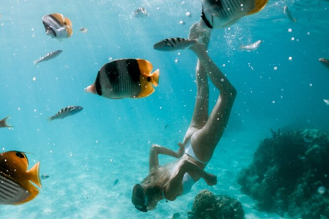 Full Day Tour : Moorea Snorkeling & Sunset Cruise on a Catamaran named Taboo - Why the small Taboo catamaran matters