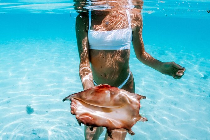 Full Day Tour : Moorea Snorkeling & Sunset Cruise on a Catamaran named Taboo - Underwater Tikis, clams and coral gardens