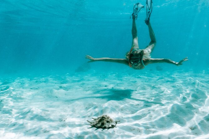 Full Day Tour : Moorea Snorkeling & Sunset Cruise on a Catamaran named Taboo - Is $261.01 a fair price?