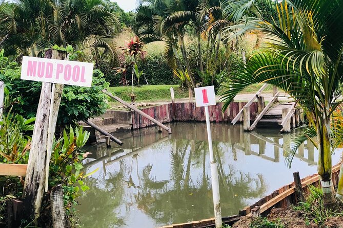 Garden Of Sleeping Giant ,Mudpool &Temple Tour From Coral Coast - Nadi town and a taste of Fiji time