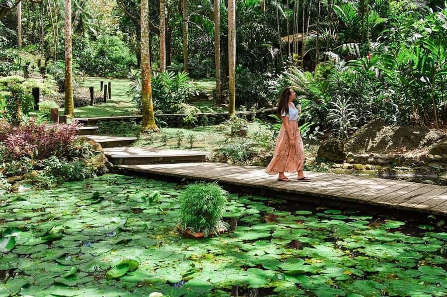 Garden of Sleeping Giant with Tifajek Mudpool Hotspring Tour - The Real Meaning of the Four-and-a-Half-Hour Schedule