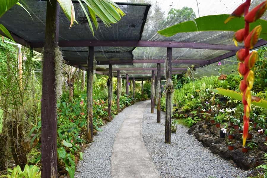 Garden of Sleeping Giant with Tifajek Mudpool Hotspring Tour - Is $65 a Good Deal?