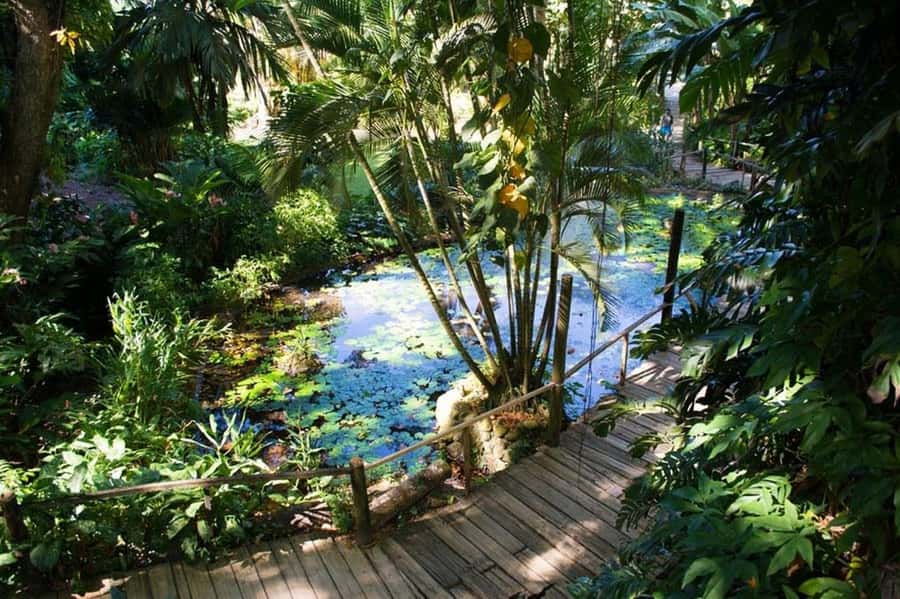 Garden of Sleeping Giant with Tifajek Mudpool Hotspring Tour - Who Will Enjoy This Most