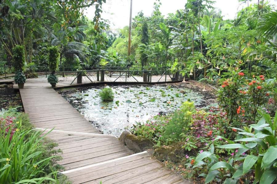 Garden of Sleeping Giant with Tifajek Mudpool Hotspring Tour - Booking Advice and Final Verdict