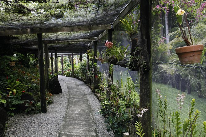 garden of the sleeping giant and mudpool tour combo - The guide and the road between stops