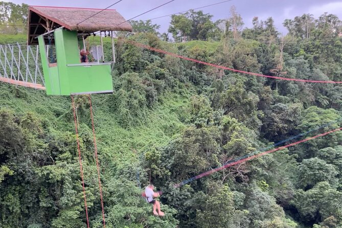 Giant Canyon Swing with Transfers - The 3.5-second rush