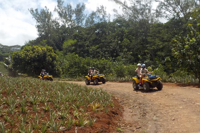 Grand Magic Combo Jetski 3h00 + Quad 3h30 - Back roads, pineapple fields, and Moorea’s agricultural side