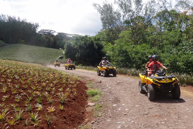 Grand Tour Quad Excursion in Moorea (Single or Two-Seater) - What the guides add to the ride