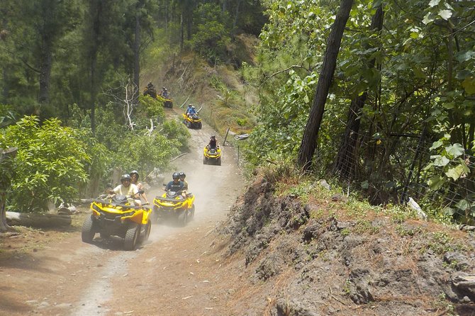 Grand Tour Quad Excursion in Moorea (Single or Two-Seater) - Single quad or two-seater?