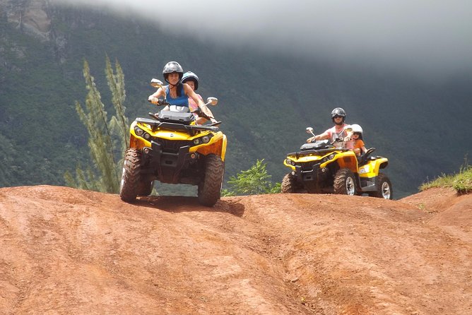 Grand Tour Quad Excursion in Moorea (Single or Two-Seater) - Pineapple fields and Moorea’s working interior