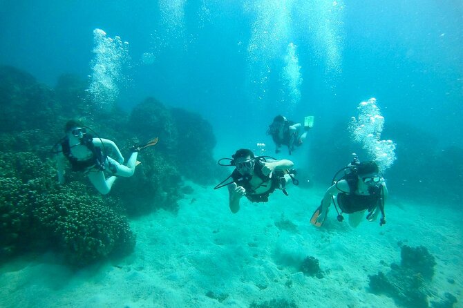 Guam's Best Beach Diving! Beginner and Advanced Dives - Dogleg Reef’s shallow coral and sea turtles