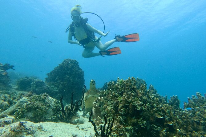 Guam's Best Beach Diving! Beginner and Advanced Dives - Getting there and preparing for the morning