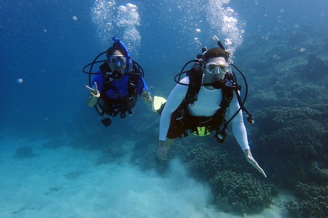 Guam's Best Beach Diving! Beginner and Advanced Dives - Who will get the most from this experience