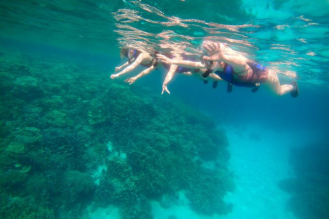 Guam's Private 5 Star Guided Snorkeling Tour! - Key points at a glance