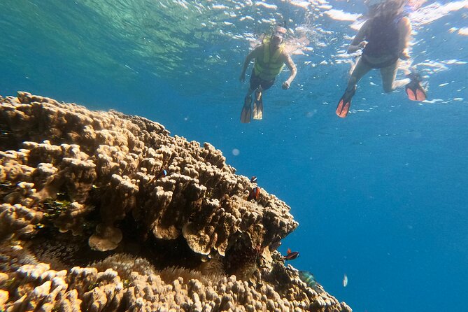 Guam's Private 5 Star Guided Snorkeling Tour! - Arriving at Guam Ocean Adventures in Piti
