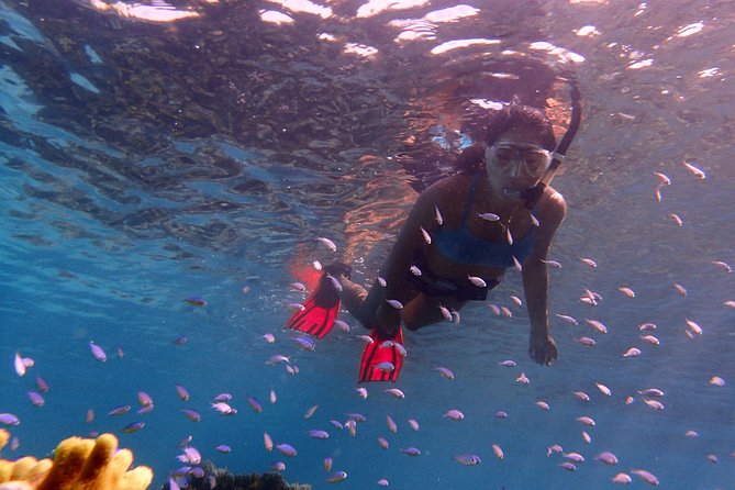 Guam's Private 5 Star Guided Snorkeling Tour! - Why Bob’s guidance matters for beginners