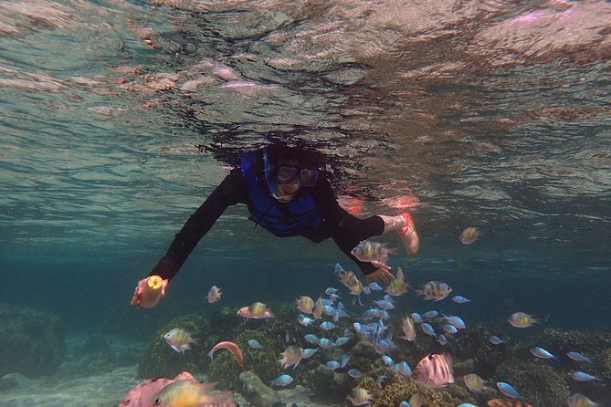 Guam's Private 5 Star Guided Snorkeling Tour! - Facilities that make the beach time easier