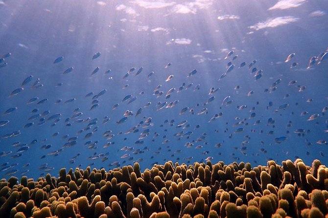 Guam's Private 5 Star Guided Snorkeling Tour! - Is $180 per person fair?