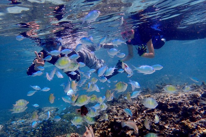 Guam's Private 5 Star Guided Snorkeling Tour! - Booking, weather, and practical details