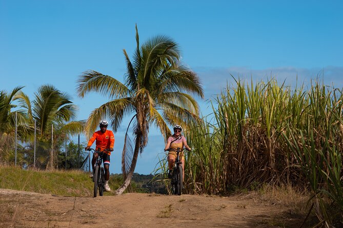Guided E-bike Tour - Trading Nadi’s beaches for Fiji’s interior