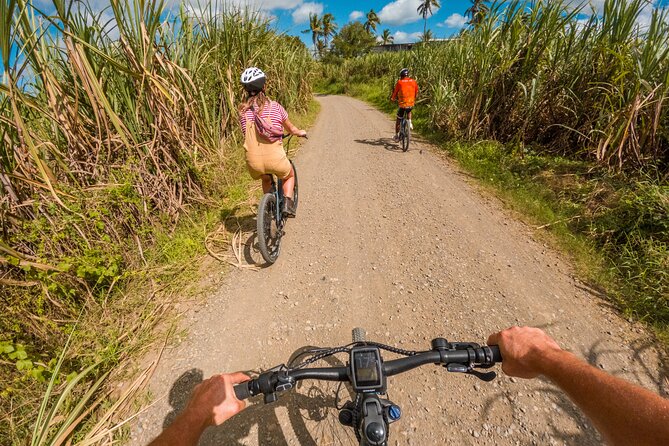 Guided E-bike Tour - Sugarcane fields, farmers, and seasonal changes