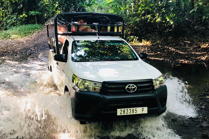 Guided Excursion in 4x4 in Moorea between Land and Sea - Manutea Tahiti adds a taste of Moorea’s fruit economy