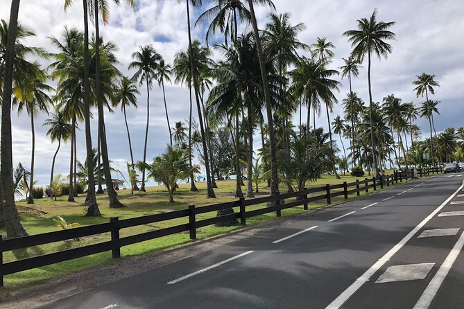 Guided Excursion in 4x4 in Moorea between Land and Sea - Motu Tiahura closes the day with water and shopping