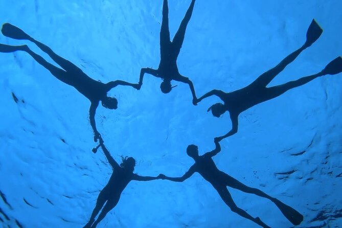 Guided Small Group Whale Watching and Swim Tour Tahiti - How the whale swim works