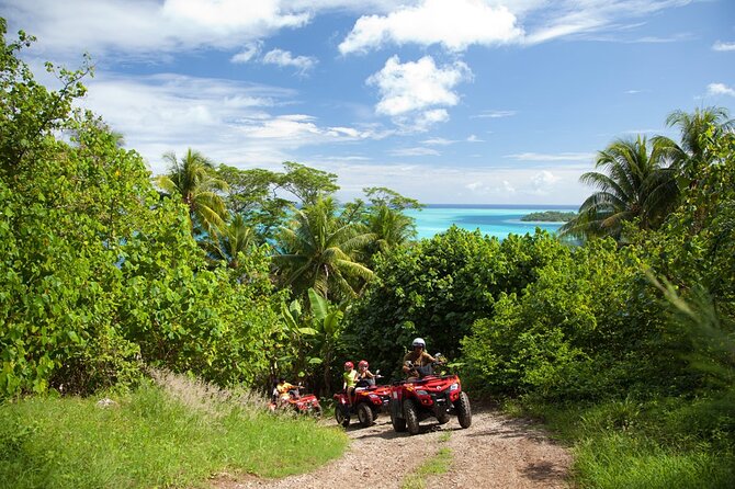 Guided Tour of Bora Bora by Quad - Teonetere, a shaded jungle stop