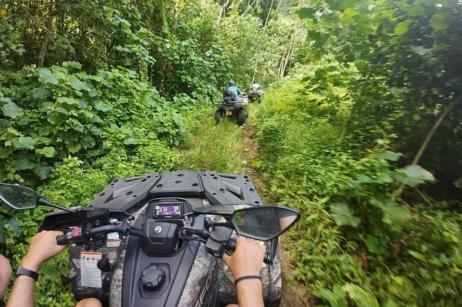 Guided tour of the island and its escapades in Tahaa by Quad / ATV - Mana’o products, from farm to finished flavor