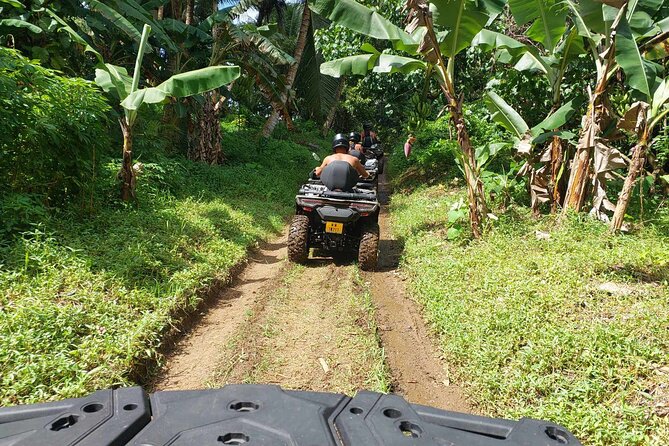 Guided tour of the island and its escapades in Tahaa by Quad / ATV - Tropical fruit and frozen coconut in Patio